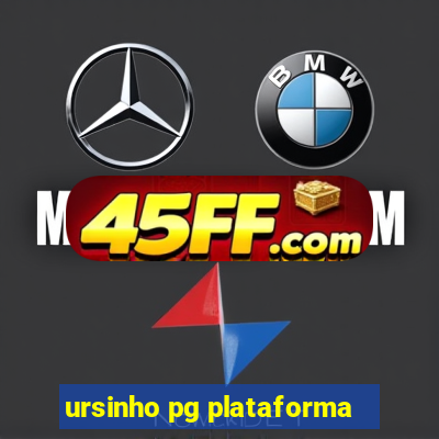 ursinho pg plataforma